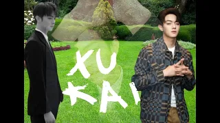 Who is Xu Kai? Fun Facts about Xu Kai #xukai #soso #chineseactor