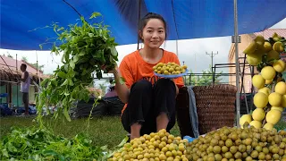 Harvest plums, vegetables  goes market sell - Gardening , farm life - Phạm Thị Nga
