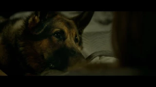 Megan Leavey - Trailer - Own it on Digital HD 8/22 on Blu-ray & DVD 9/5