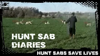 Hunt Sab Diaries - Episode 1 - Hunt sabs save lives