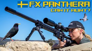 FX Panthera | Can it Hunt? | Review | 26gr Slugs | Airgun Pest Control #viral