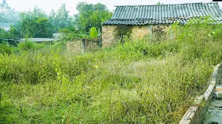 CLEAN UP/SHOCK TRANSFORMATION Overgrown lawn and garden - Cleaning up the/ABANDONED HOUSE