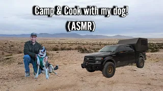 DIY Aluminum Truck Bed Camper - Camp and Cook w/ my Sweet Dog (EXTENDED)