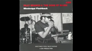 Billy Branch & the Sons of  blues -  How can you stan it baby