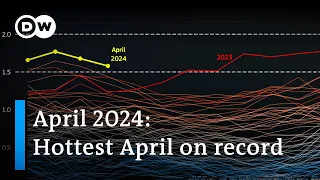 Why the global temperature record streak continues | DW News