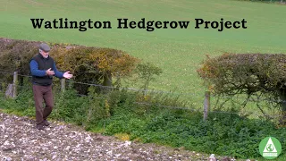 Hedgerow Project