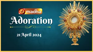 🔴 LIVE 21 April 2024  Adoration 11:00 AM | Madha TV