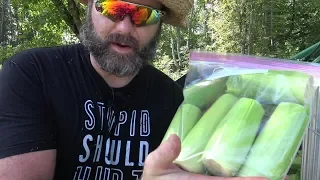 How to freeze corn without blanching