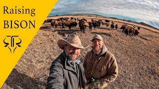 American Bison Ranch in Montana! ( EXCLUSIVE TOUR! )