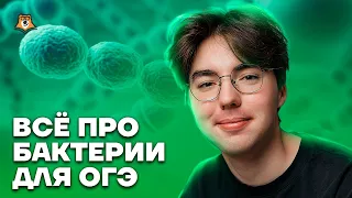 Все о бактериях для ОГЭ | Биология ОГЭ 2023 | Умскул