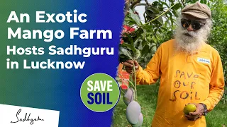 An Exotic Mango Farm Hosts Sadhguru in Lucknow