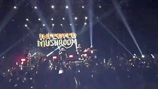 Infected Mushroom — Converting Vegetarians (Moscow 27.06.2019)