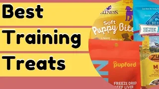 Best Dog Training Treats For Better Results