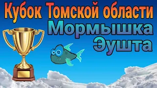 Кубок Томской области им.В.Жданова по мормышке. Первый этап.