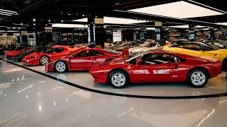 The Big 5 Ferrari  | 288 GTO - F40 - F50 - Enzo - LaFerrari | 4K Quality