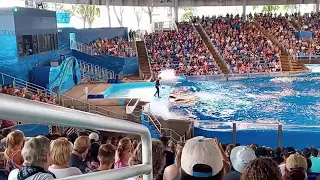 ORCA ENCOUNTER FULL SHOW SEAWORLD JUNE 23 2021 2:30 @ SHAMU STADIUM