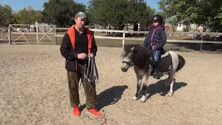 Обучение лошади. Подготовка к соревнованиям.Horse. Preparing for the competition.