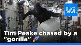 Tim Peake chased through ISS by a "gorilla"