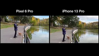 Pixel 6 Pro vs. iPhone 13 Pro video stabilization test