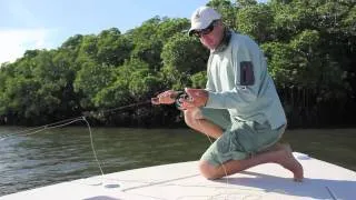 Saltwater Flyfishing Tips - getting the line right