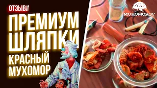 Красный мухомор. Посылка в Германию.