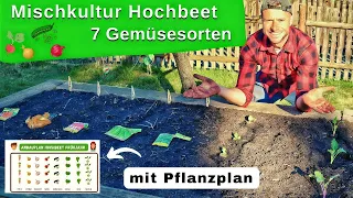 Mischkultur Hochbeet Frühjahr I 7 gute Pflanznachbarn I  Anleitung inkl. Pflanzplan