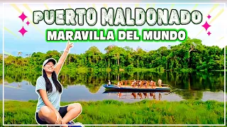 PUERTO MALDONADO, un PARAÍSO NATURAL por descubrir 🐅🦜| TRAVELERAS