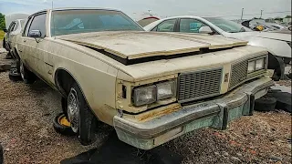 She should have been saved. 1984 Oldsmobile Delta 88 Royale Junkyard Find
