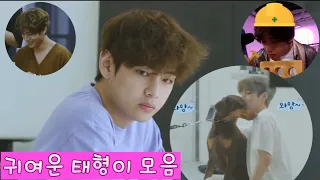 *BTS V 뷔* 귀여운 태형이 모음 (cute taehyung collection)