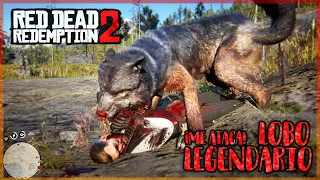 ME ATACA EL LOBO LEGENDARIO!   RED DEAD REDEMPTION 2 #15