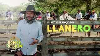 Somos Región: El recio trabajo del llanero