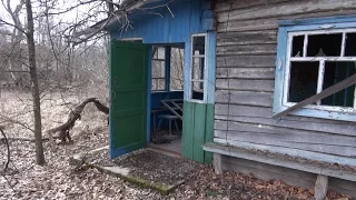 east of Chernobyl and the Pripyat river: Koschiwka (кошивка) village