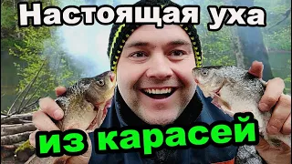 Самая вкусная уха. Уха из карасей на мангале. Наловили карасей и варим уху