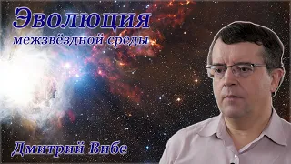 Эволюция межзвездной среды - Дмитрий Вибе