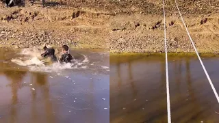 The pony crosses the river, and it's frozen to challenge!  Simple pleasures for men Rural