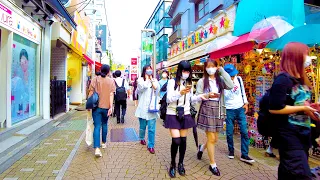 Harajuku in Tokyo is the birthplace of "KAWAii"♪💖🐶4K ASMR non-stop 1 hour 09 minutes
