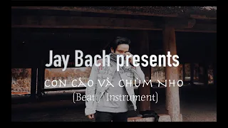 Con Cáo và Chùm Nho - MC ILL (Instrment by Jay Bach)