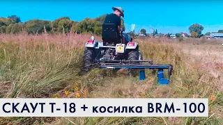 Трактор СКАУТ T-18 косит сено | Работа сенокосилки BRM-100