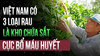 3 loại rau là "kho chứa sắt" ở Việt Nam, bổ máu, hạ đường huyết hiệu quả