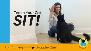 Teach Your Cat To Sit With Clicker Training