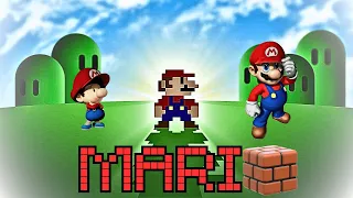 L'HISTOIRE DE MARIO