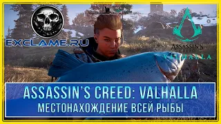 Assassin's Creed: Valhalla | Местонахождение всей рыбы | Славный улов | Трофей / Достижение