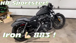 2013 Iron 883 Sportster! Nice 1000 mile project bike with some light cosmetic damage!