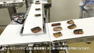 シャトルコンベヤ＆投入コンベヤのご紹介【クリエイションデバイス】