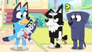 ¡REVELADO! ¿Quién Es El Esposo De Bluey y Padre De Su Hijo? (Todo Lo Que Sabemos)