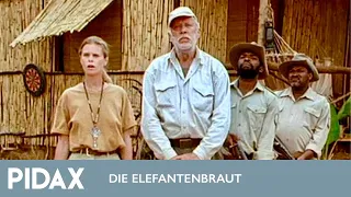 Pidax - Die Elelefantenbraut (1993, TV-Zweiteiler)