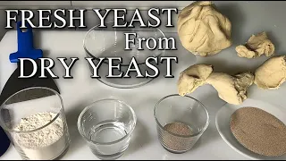 How to Make Fresh Yeast From Dry yeast