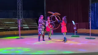 Цирк Арена Ягуар 2