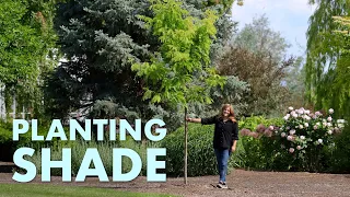 Planting Shademaster Locust Trees + Containers + Mowing the Lawn! 🌳🌸✂️ // Garden Answer