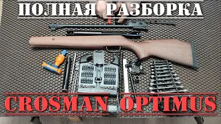 Crosman Optimus ПОЛНАЯ РАЗБОРКА пневматической винтовки 4,5 мм Кросман Оптимус